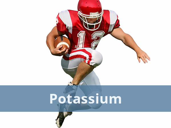Potassium Glycinate