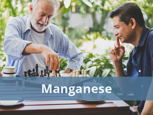 Image of manganese two men playing chess