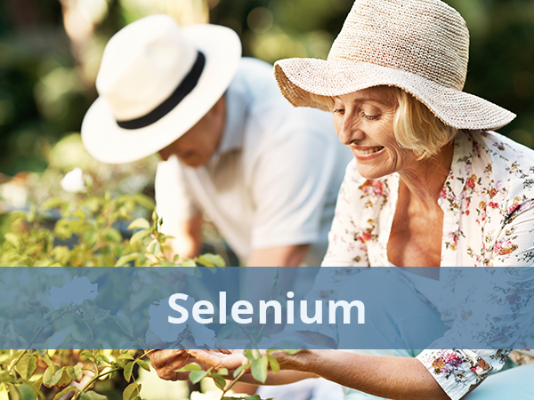 couple gardening with Selenium