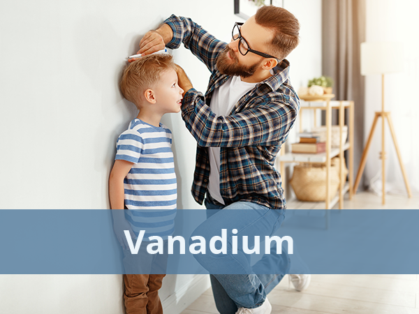 father measuring the height of his child for Vanadium