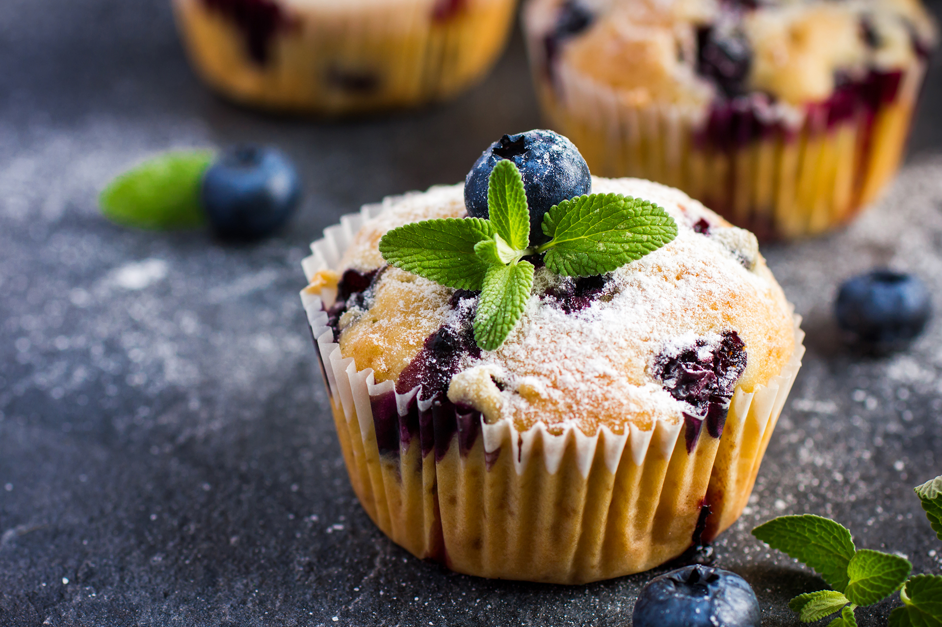 National Blueberry Muffin Day! Human Nutrition and Health
