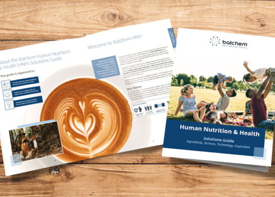 A picture of the Balchem Human Nutrition and Health Solution Guide sitting on a wooden background.