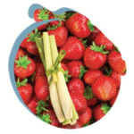 Strawberries and Lemongrass Sticks