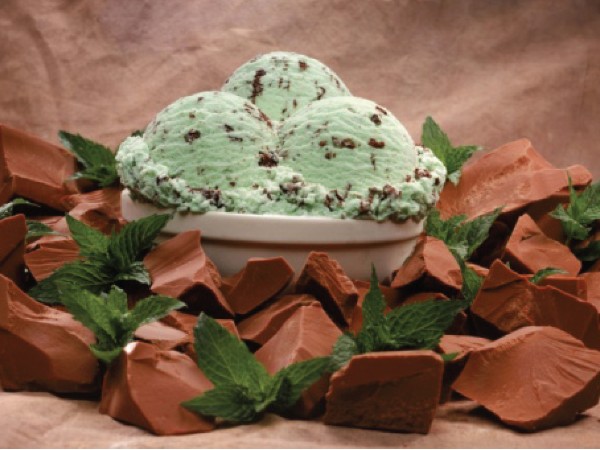 Ice Cream Mint Chocolate Chip on tower of chocolate chunks