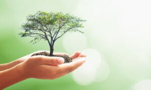 Mental Health Awareness Symbol Tree Cognitive Nutrients