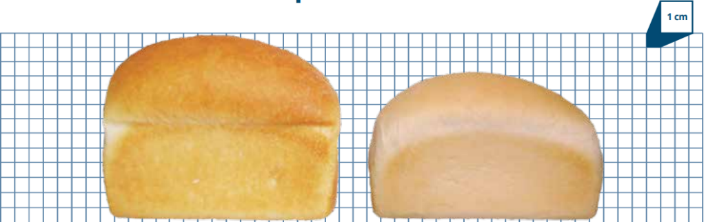 BakeShure® Optimizes Loaf Volume. Two pieces of bread on a grid background taht shows the fullness of Bakeshure Sours.