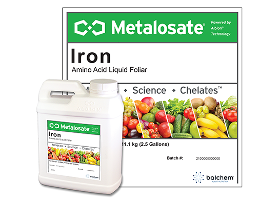 Metalosate Iron uses amino acid iron chelates, iron chelate for plants can correct iron deficiency plant symptoms.