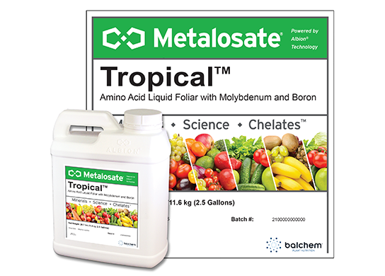Metalosate Tropical contains amino acid chelated nutrients in a foliar fertilizer to optimize Plant Nutrition