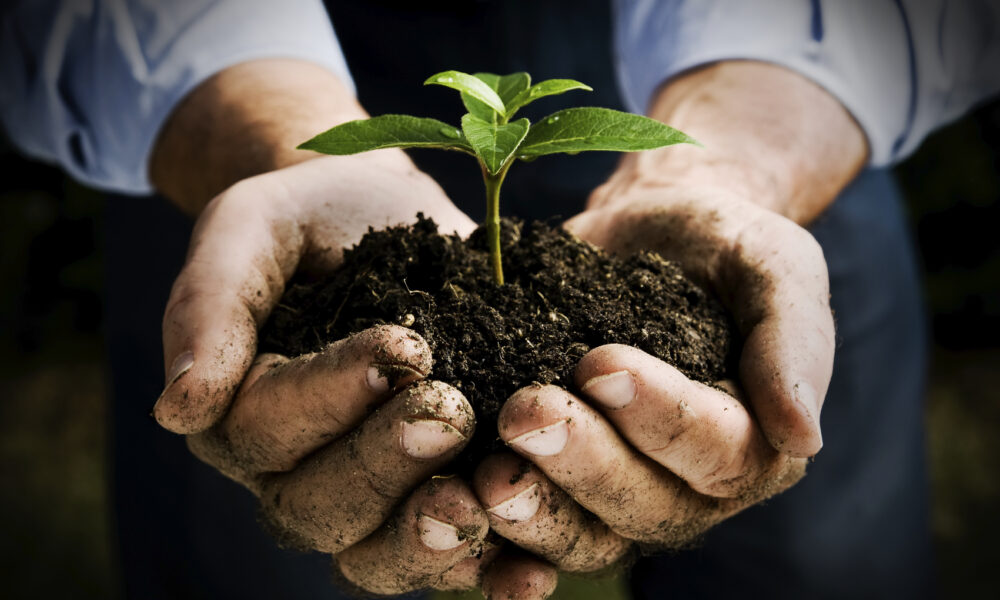 Healthy Soil is the backbone of Plant Nutrition