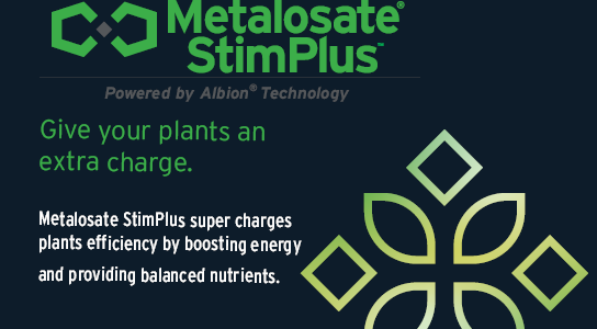 Metalosate StimPlus