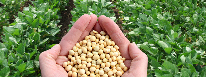 Corn and Soybean Production with Metalosate® Big 5™