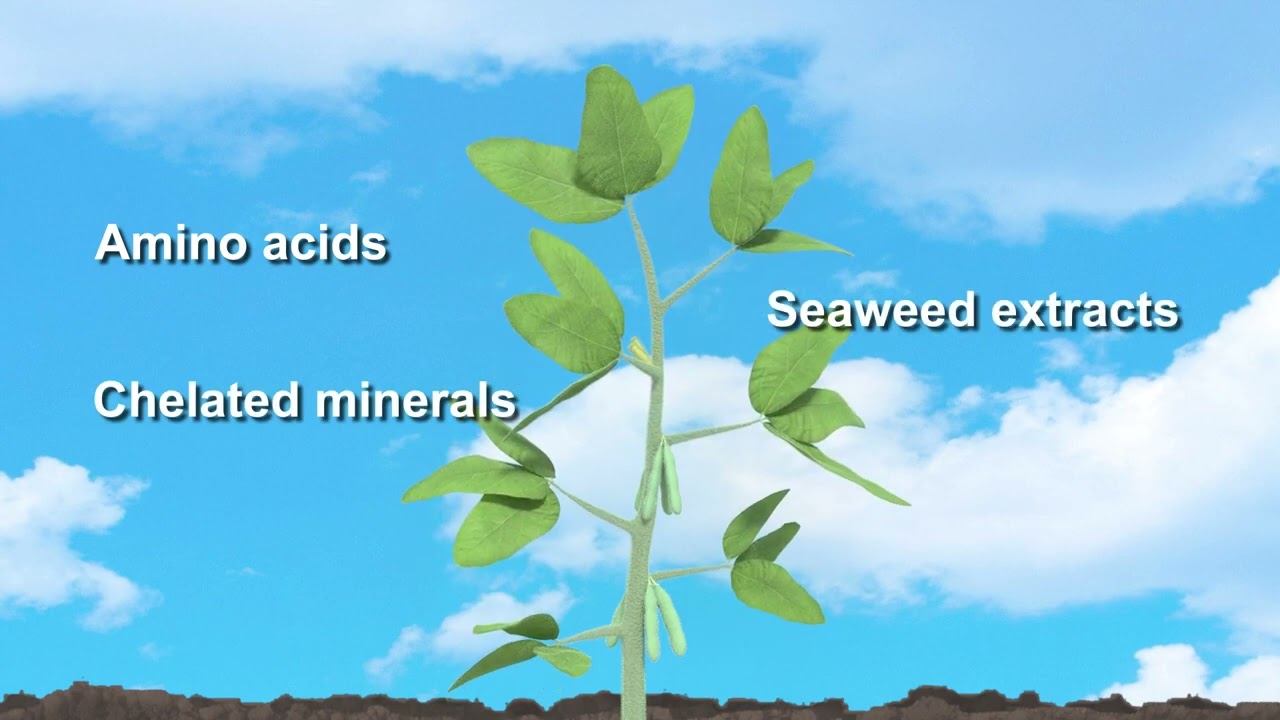 Metalosate® StimPlus™ - Plant Nutrition