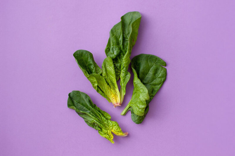 Spinach leaves on a purple background.