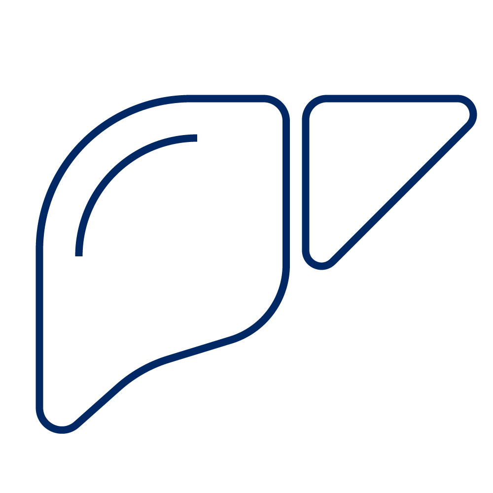 https://balchem.com/wp-content/uploads/2024/08/Liver_RGB_Blue.png