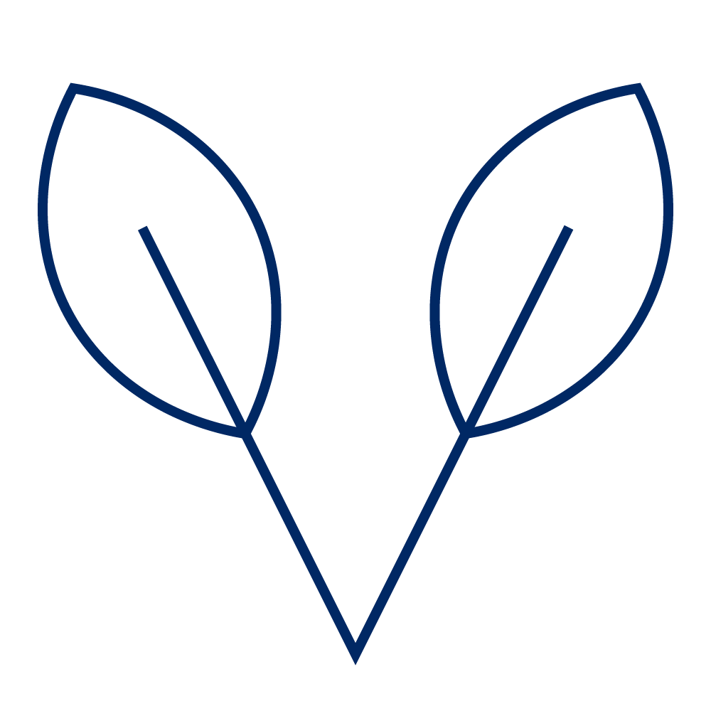 https://balchem.com/wp-content/uploads/2024/08/Vegan_RGB_Blue.png