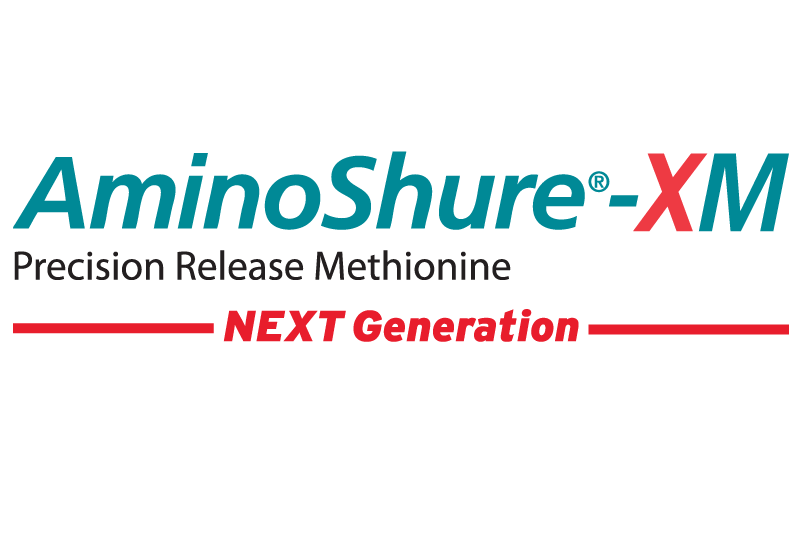 AminoShureXM