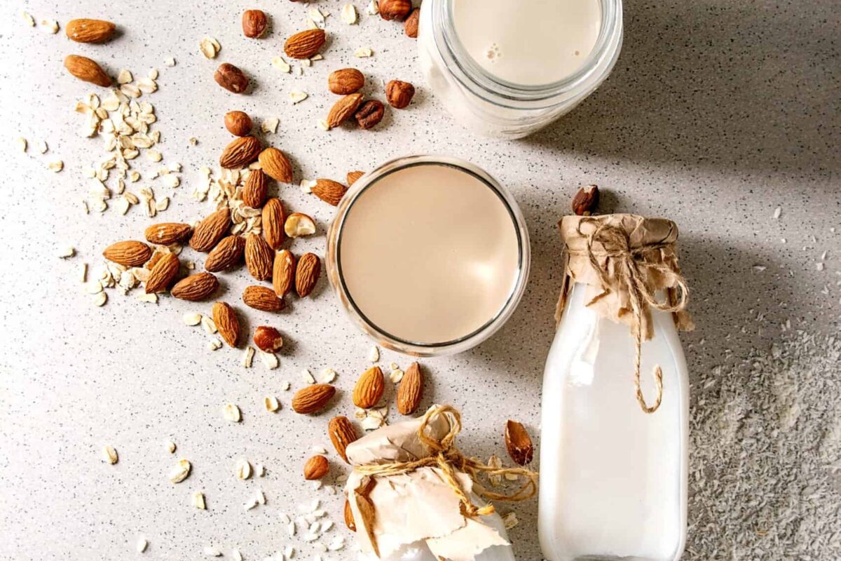 Variety of non-dairy vegan plant-based powder milk.