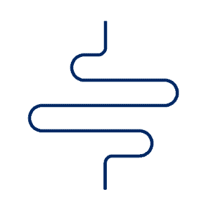 https://balchem.com/wp-content/uploads/2024/10/Gut-Digestive_RGB_Blue-e1789590084388.png