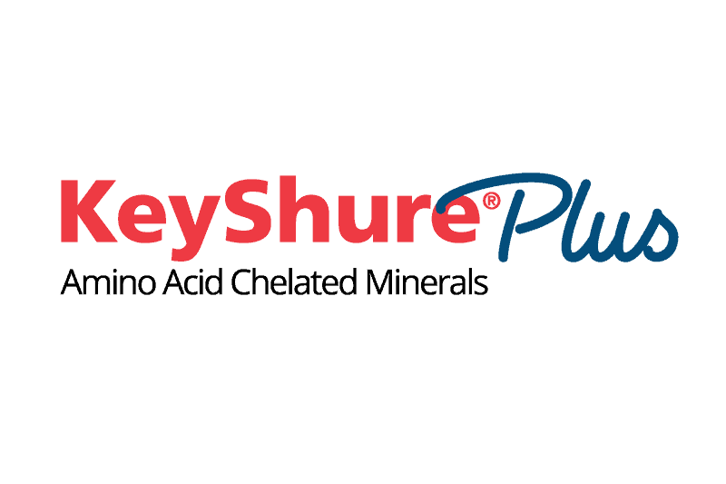 KeyShure Plus logo representing Balchem's innovative solutions.