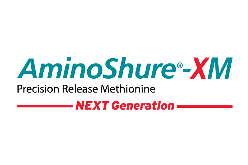 NextGenXM 800x533