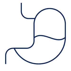 https://balchem.com/wp-content/uploads/2024/10/Stomach_RGB_Blue-e1789590068114.png