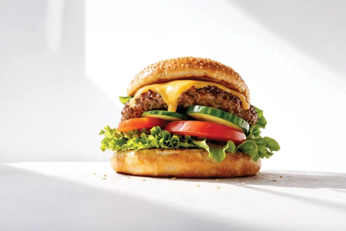 image of a hamburger