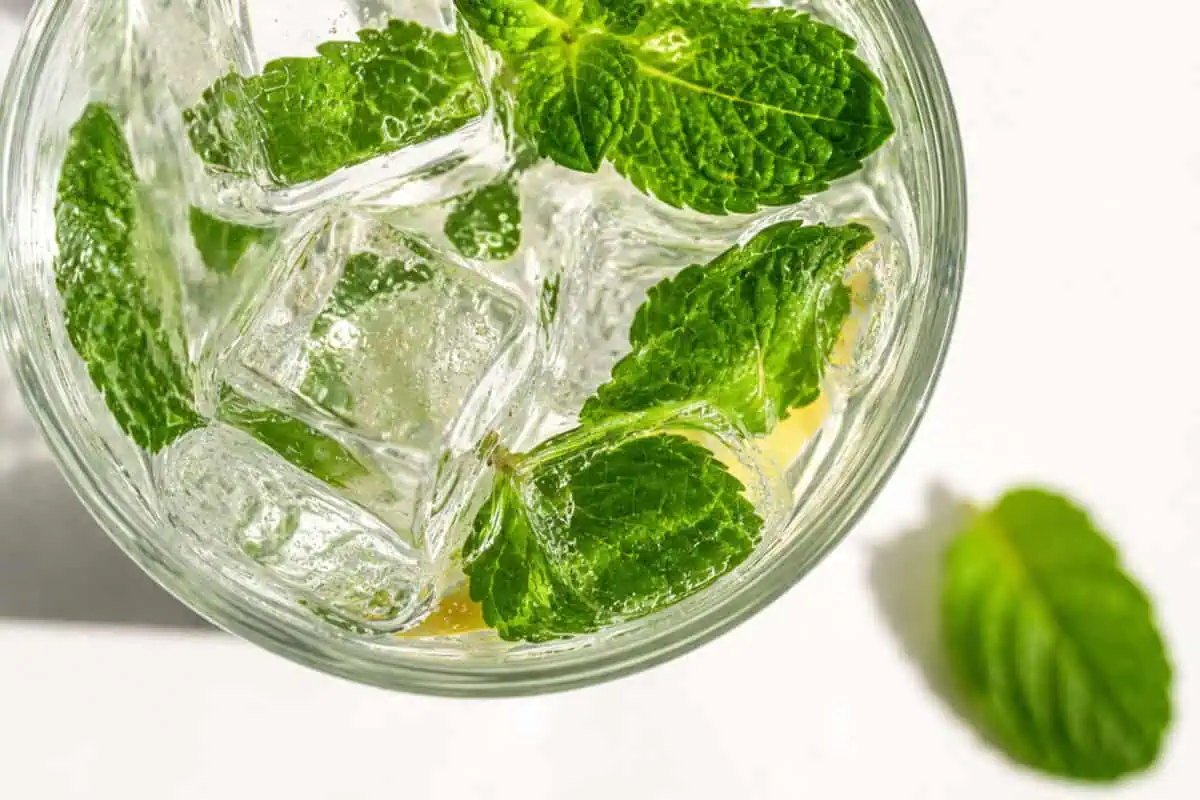 Image of a mint drink in a glass of ice water from INjoy beverage systems.