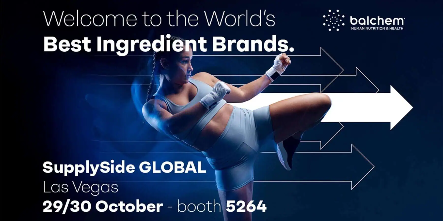 Supplysdie global kickboxing image