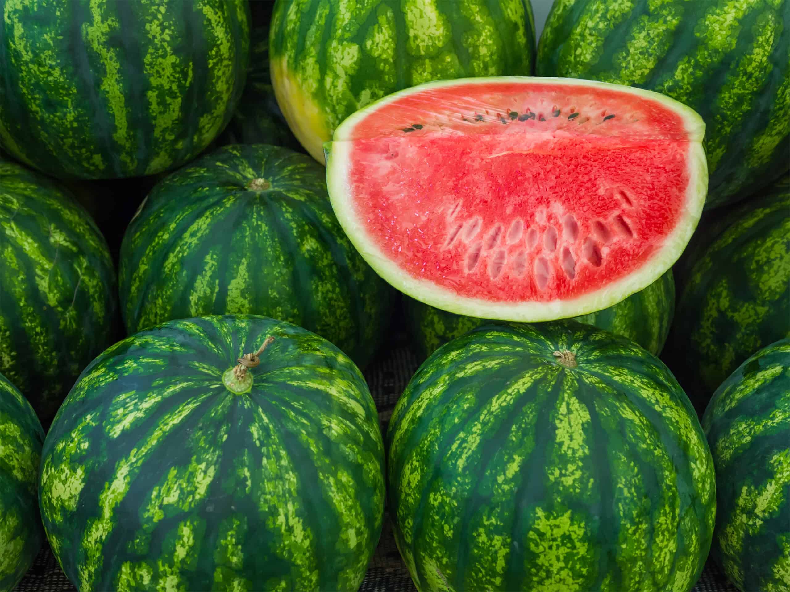 Increasing Shelf Life in Melon Production with Metalosate® - Balchem