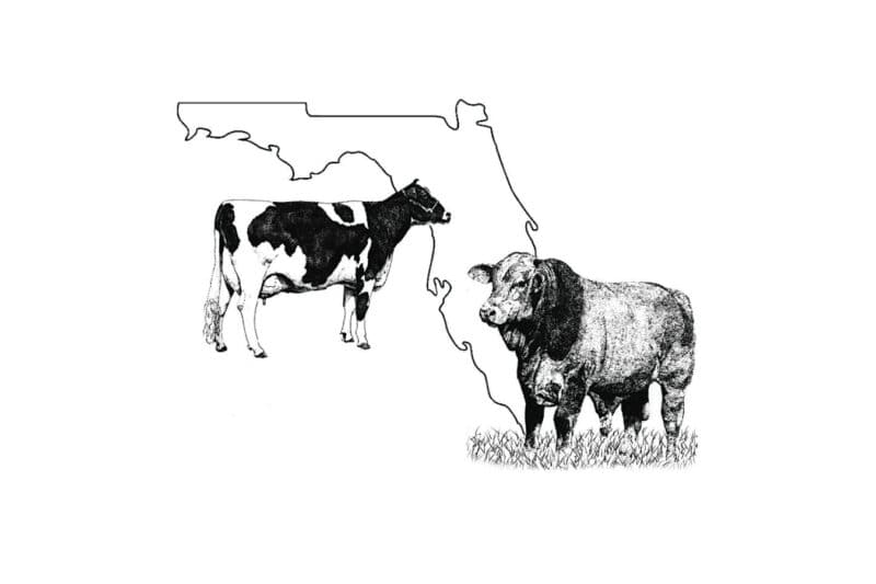 Florida Ruminant Symposium