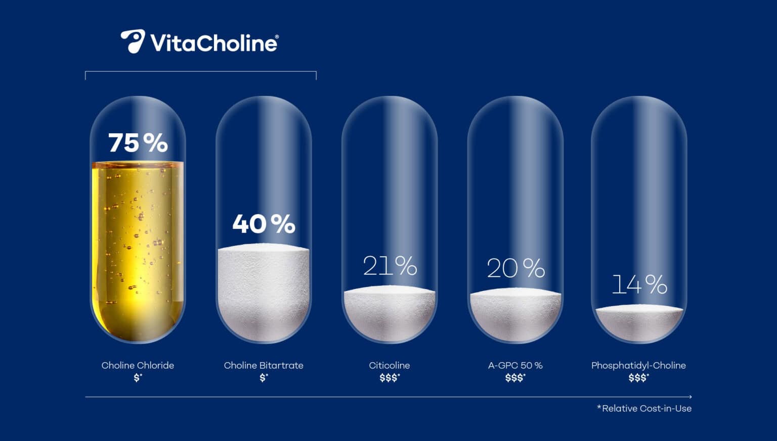 Choline Benefits for Brain Health and Cognitive Function - Balchem