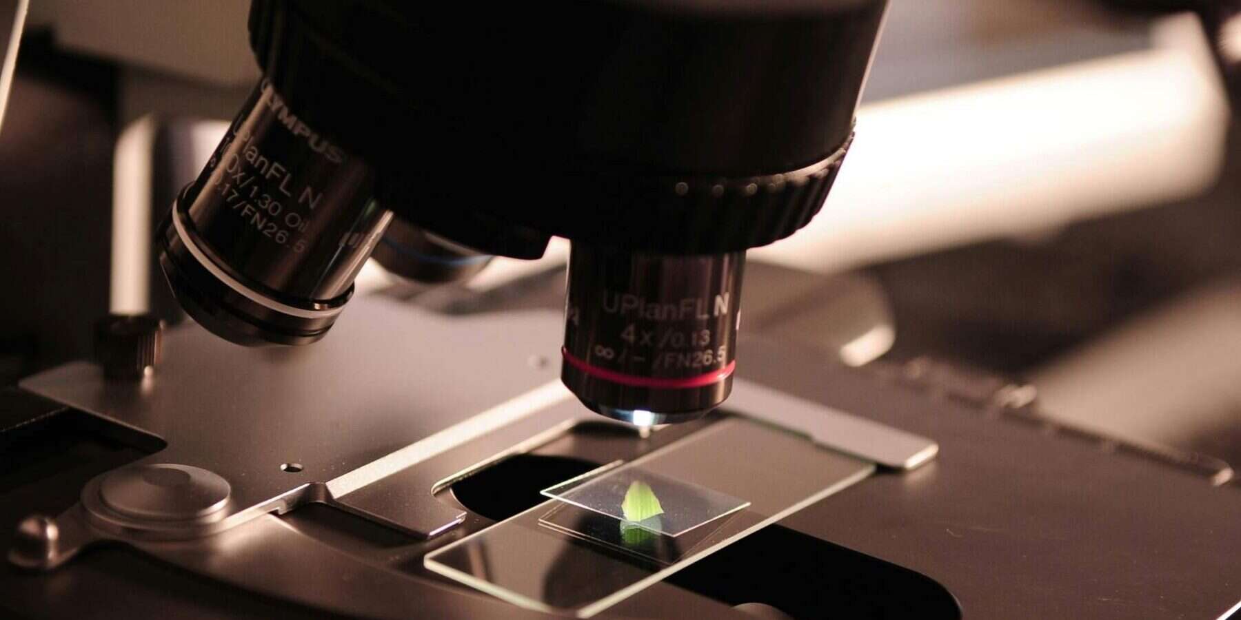 Image of a microscope looking at a green k2.