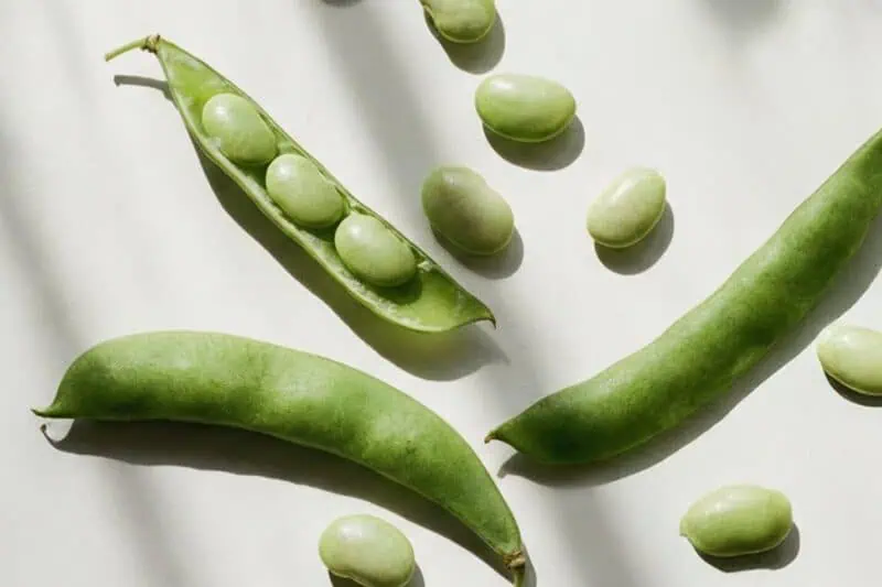 Choline-rich foods like green beans, a plant-based source that supports brain health and cognitive function.