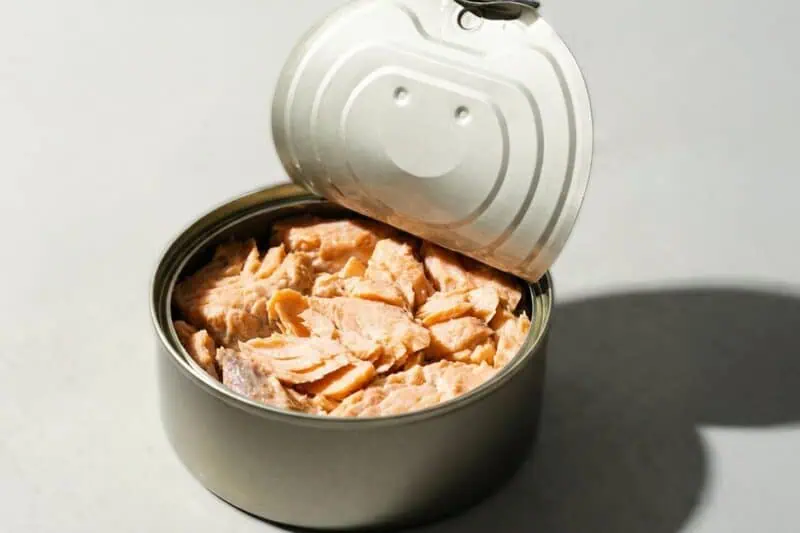Fish as a choline-rich food that supports brain health and cognitive function.