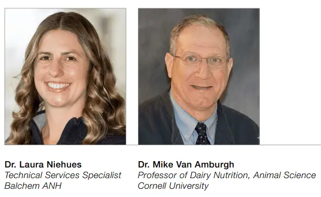 Laura and Mike Laura and Mike