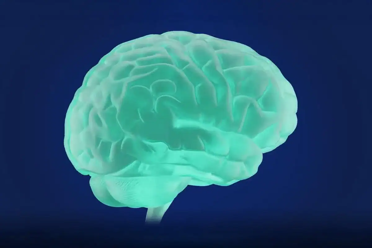 Image of a green brain on a blue background