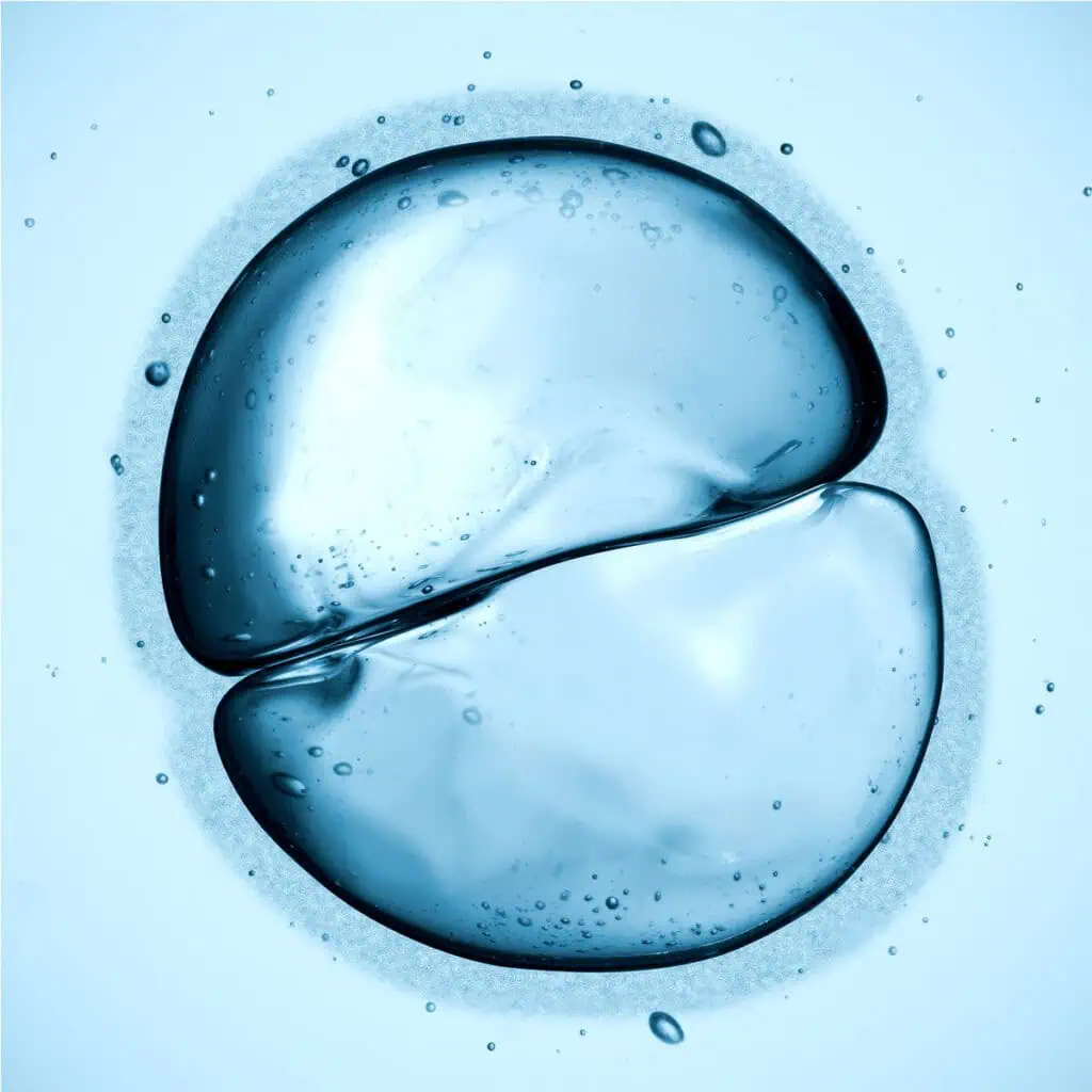 Abstract cell illustration representing cellular function, gene regulation, and biological activity of a cell splitting during mitosis.