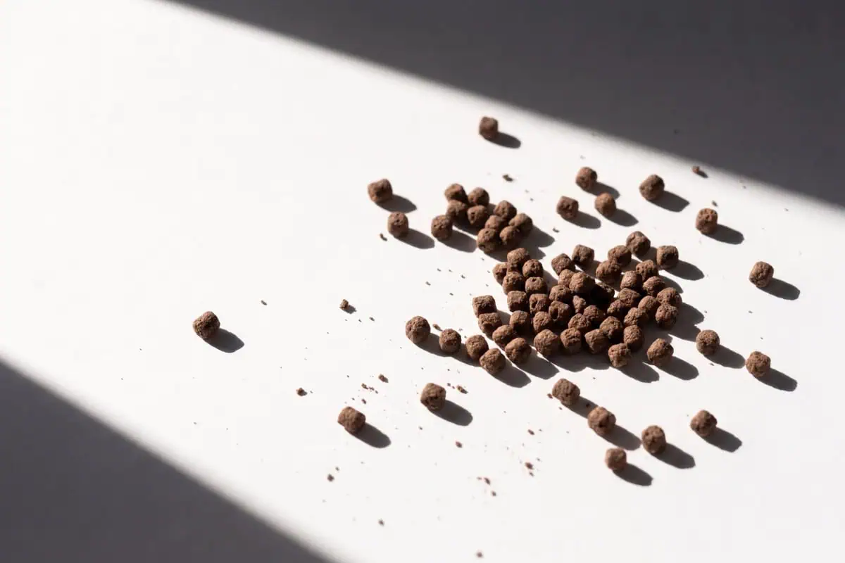 Scattered brown pellets on white surface with shadow.