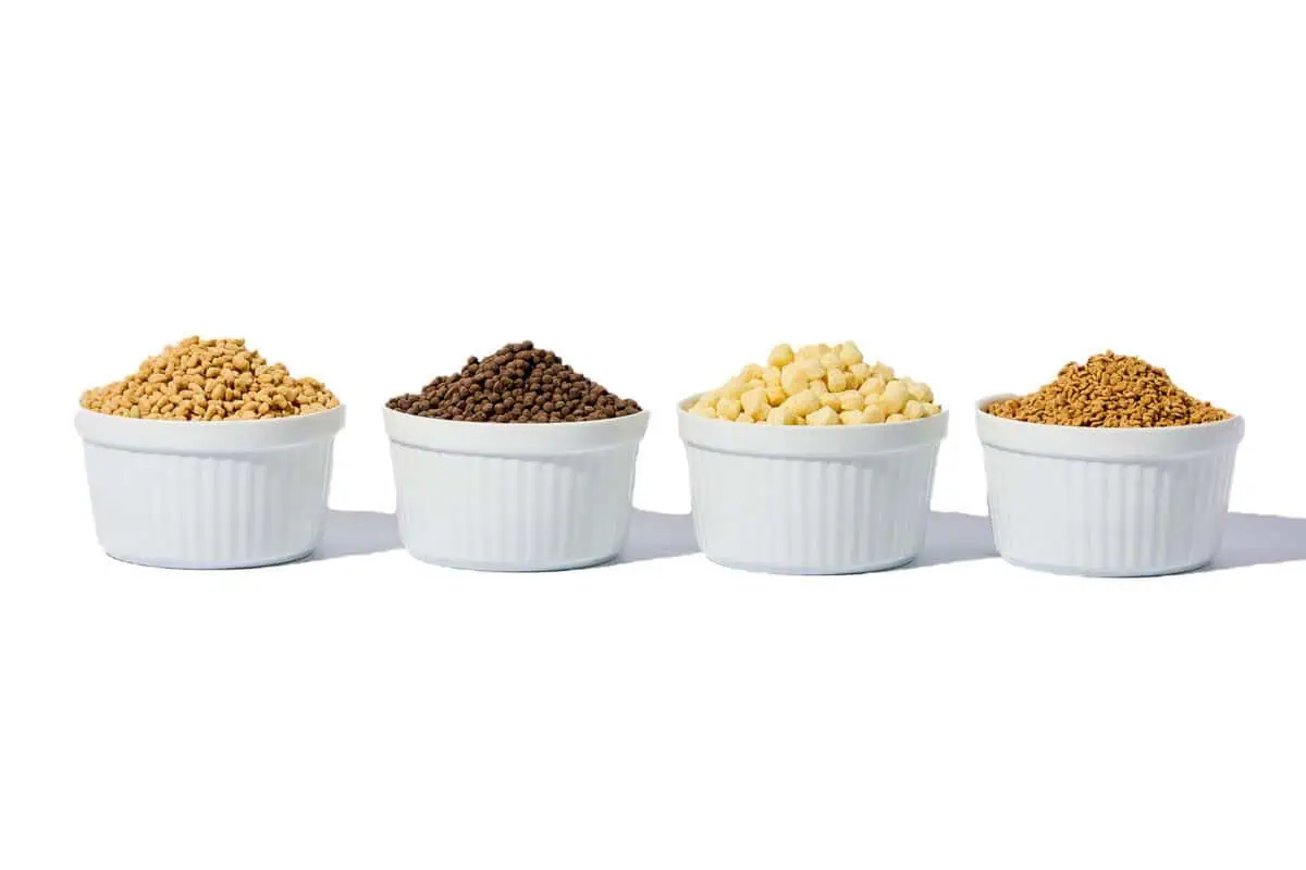 Image of four bowls of balchem's z-crisps protein crisps