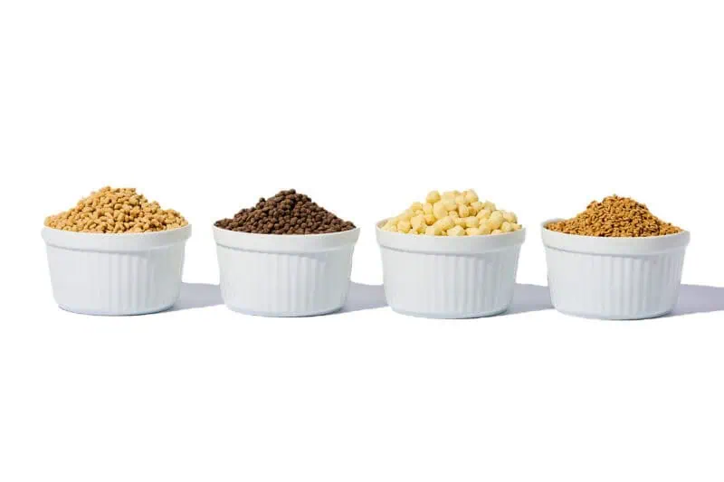 Image of four bowls of balchem's z-crisps protein crisps